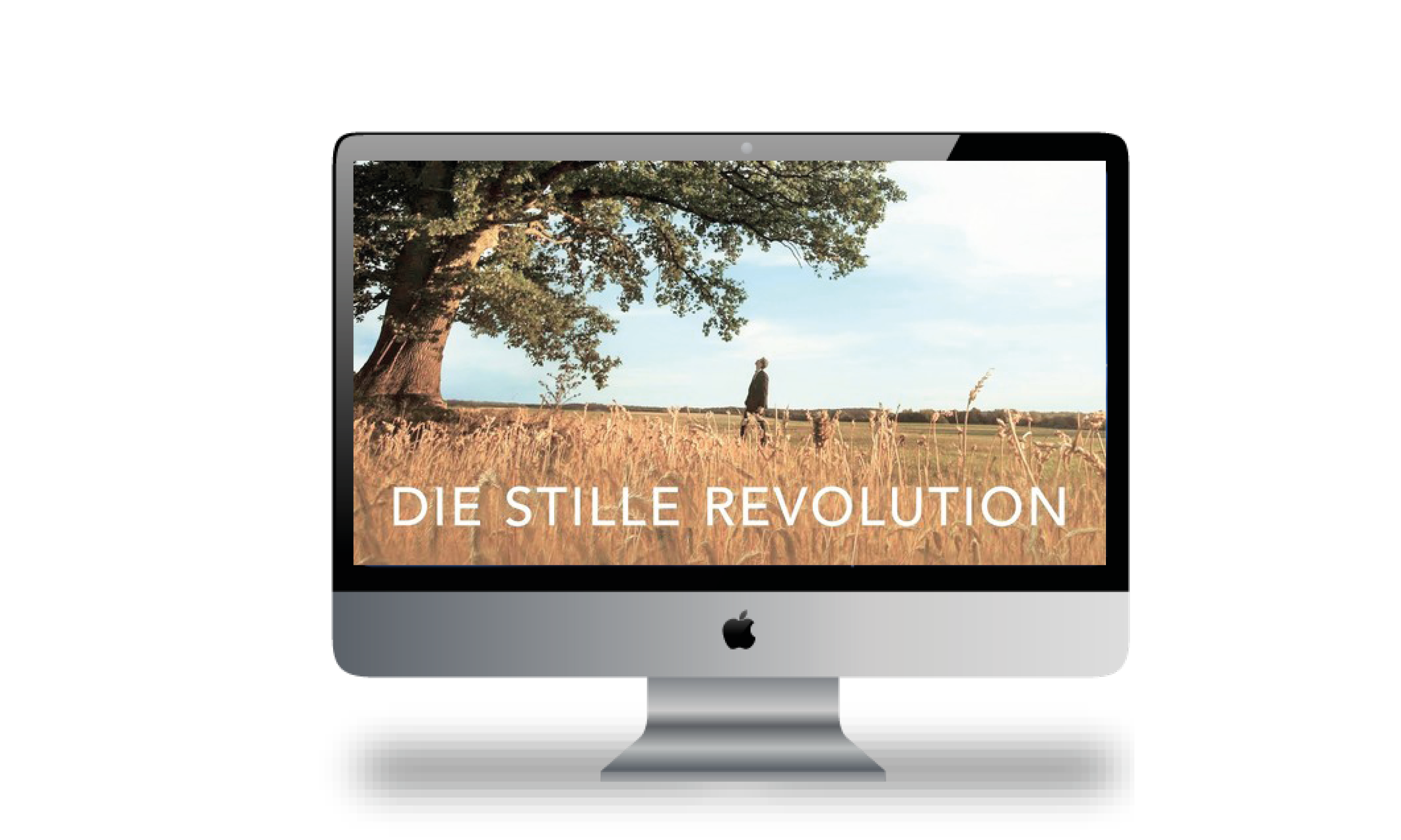stille Revolution